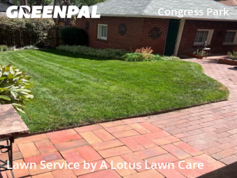 Yard Mowing nearby Denver, CO, 