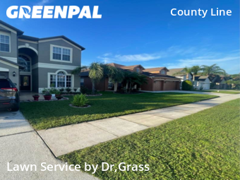Lawn Cutting nearby Tampa, FL, 