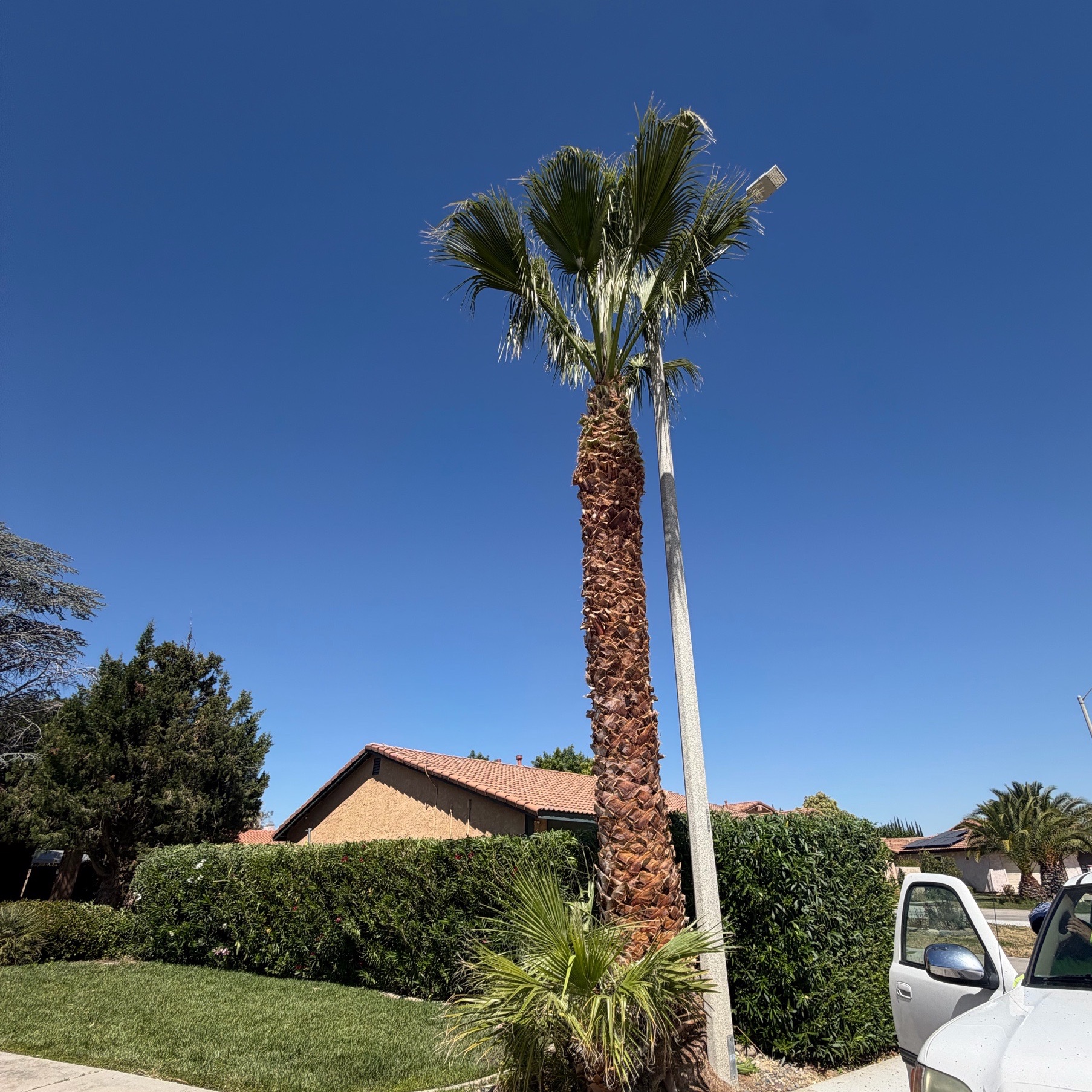 local-lawn-cutting-services-in in Covina, CA