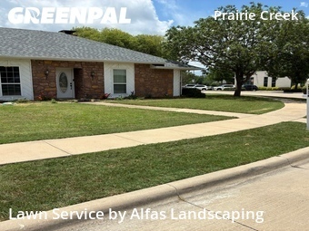 Lawn Maintenance nearby Plano, TX, 