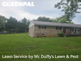 Lawn Cutting nearby Hamblen County, TN, 