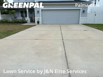 Grass Cut nearby Tampa, FL, 
