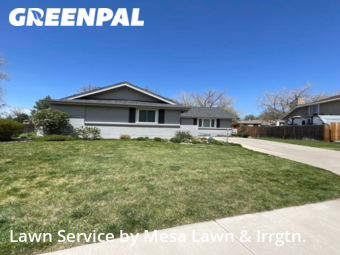 Lawn Mow nearby Centennial, CO, 
