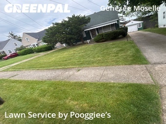Modern Landscaping In Buffalo,14215,Landscaping Maintenance by Pooggiee’s, work completed in Jun , 2026