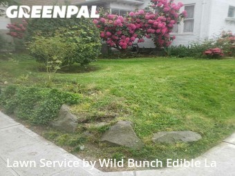 Lawn Cut nearby Seattle, WA, 