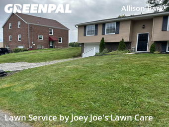 Grass Cutting nearby Shaler Township, PA, 