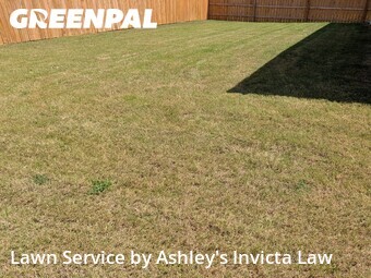 Lawn Cut nearby Killeen, TX, 