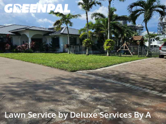 Lawn Mowin Fort Lauderdale,33312,Lawn Mowing Service by Deluxe Services By A, work completed in Nov , 2025