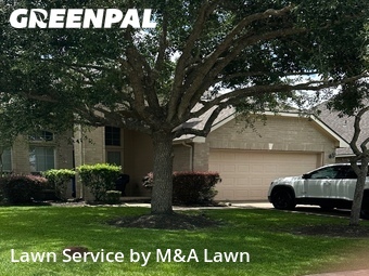 Lawn Cut nearby League City, TX, 