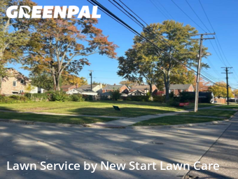 Lawn Cutting nearby Grosse Pointe Woods, MI, 