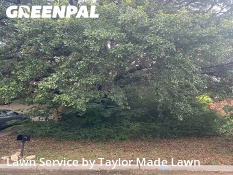 Yard Mowing nearby Denton, TX, 