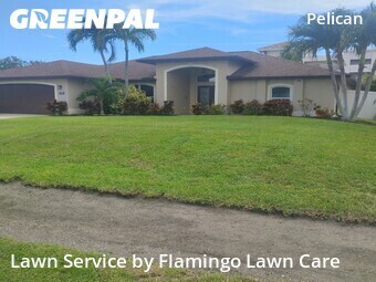Yard Cutting nearby Cape Coral, FL, 