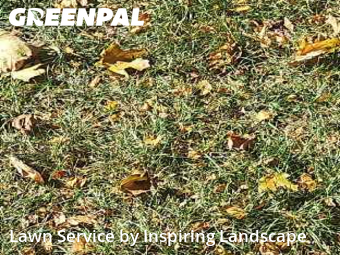 Yard Work in Centennial, 80122, Lawn Work by Inspiring Landscape, work completed in Nov , 2025