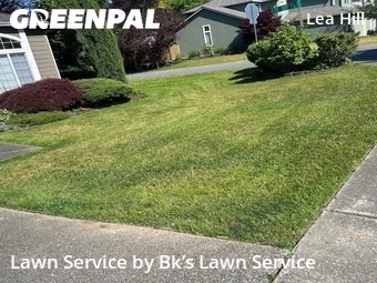 Lawn Care nearby Auburn, WA, 