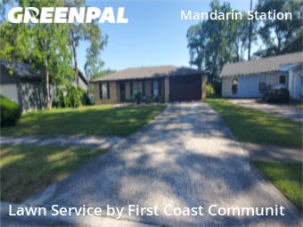 Grass Cut nearby Jacksonville, FL, 