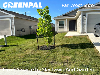 Lawn Maintenance nearby San Antonio, TX, 