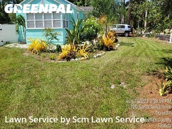 Yard Mowing nearby Dunedin, FL, 