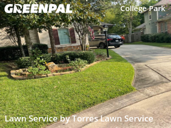 Grass Cutting nearby Spring, TX, 