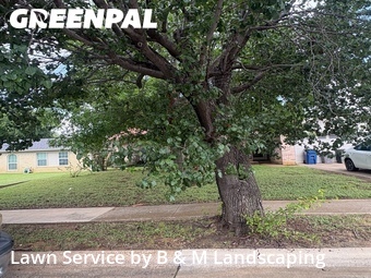 Lawn Cutin Euless,76039,Grass Cut by B & M Landscaping, work completed in Jun , 2026