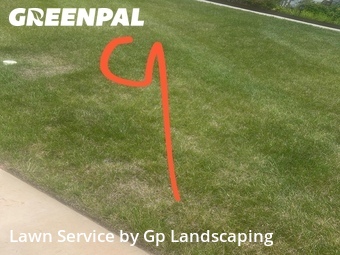 Lawn Cutting nearby Weddington, NC, 