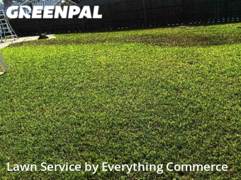 Lawn Cut nearby Slidell, CO, 