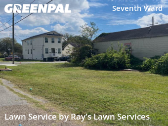 Grass Cut nearby New Orleans, LA, 