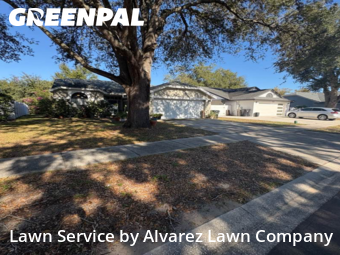 Yard Cuttingin Apopka,32703,Lawn Care Service by Alvarez Lawn Company, work completed in Nov , 2025