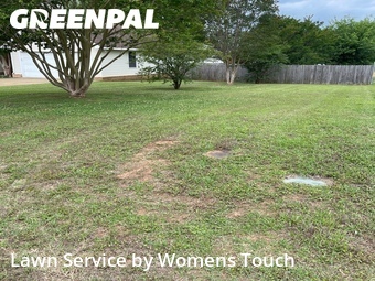 Lawn Service nearby Tuscaloosa, AL, 