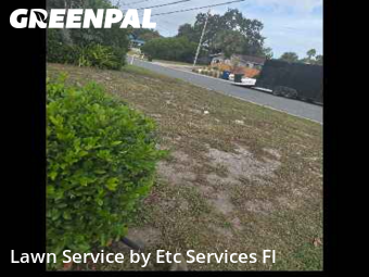 Lawn Cutin Dunedin,34698,Lawn Mow by Etc Services Fl, work completed in Nov , 2025
