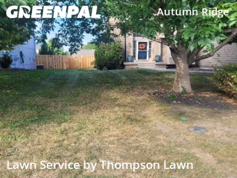 Lawn Mowing Servicein Olathe,66061,Lawn Cutting by Thompson Lawn, work completed in Nov , 2025