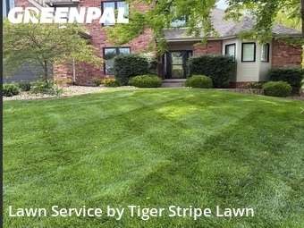 Lawn Mow nearby Papillion, NE, 