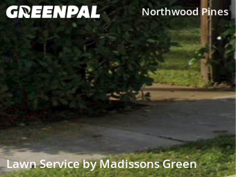 Lawn Mowing Service nearby West Palm Beach, FL, 