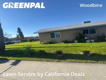 Lawn Maintenance nearby Sacramento, CA, 