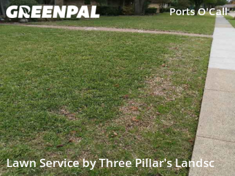 Grass Cut nearby Plano, TX, 