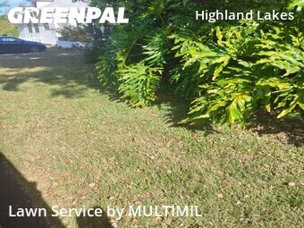 Grass Cutting nearby Clearwater, FL, 