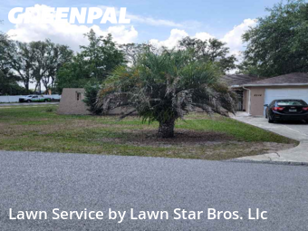 Yard Cutting nearby Spring Hill, FL, 