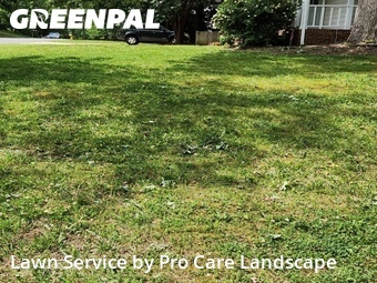Lawn Service nearby Matthews, NC, 