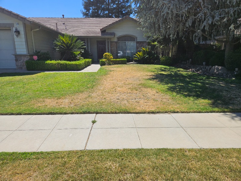 Lawn mowing work by Low Cost Landscaping in Fresno, CA