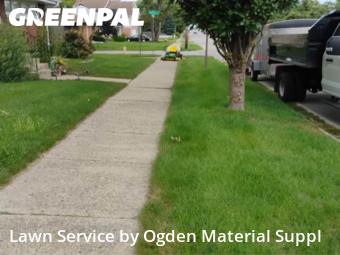 Lawn Mow nearby Elmhurst, IL, 