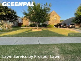 Lawn Mow nearby Frisco, FL, 