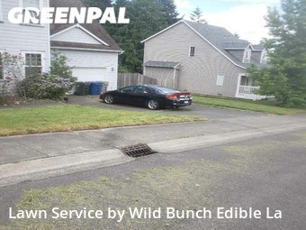 Lawn Mowing nearby Kent, WA, 
