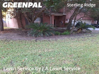 Yard Cuttingin The Woodlands,77382,Lawn Cut by J.A Lawn Service, work completed in Dec , 2025