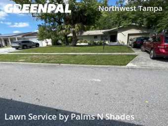 Lawn Maintenance nearby Tampa, FL, 