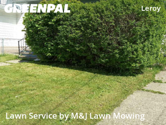 Yard Mowing nearby Buffalo, NY, 