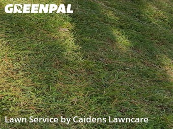 Lawn Cutting nearby Lantana, FL, 