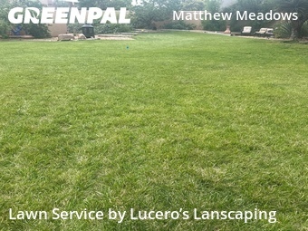 Landscaping In Albuquerque,87107,Landscaping Cleanup by Lucero’s Lanscaping, work completed in Jun , 2026