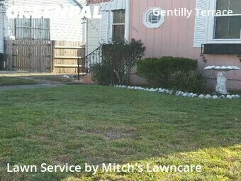 Lawn Mow nearby New Orleans, LA, 