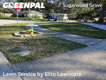 Yard Cutting nearby Tampa, FL, 