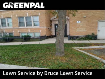 Grass Cutting in Maywood, 60153, Lawn Services by Bruce Lawn Service, work completed in Oct , 2025