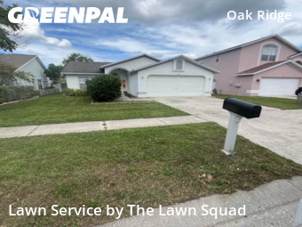 Lawn Cut nearby Tampa, FL, 